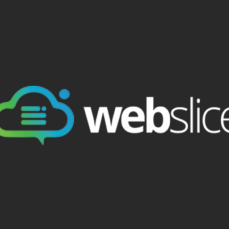WebSlice logo.